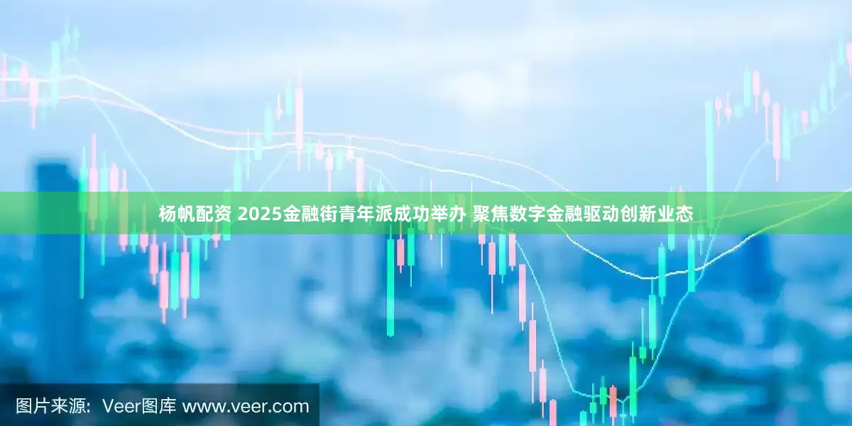 杨帆配资 2025金融街青年派成功举办 聚焦数字金融驱动创新业态