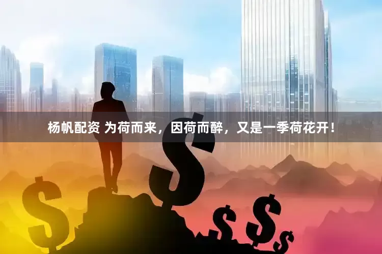 杨帆配资 为荷而来，因荷而醉，又是一季荷花开！